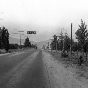 The Collection - Brea Museum & Historical Society